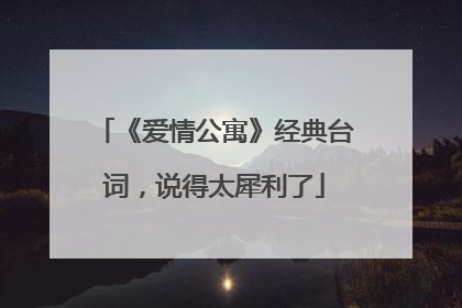 《爱情公寓》经典台词,说得太犀利了