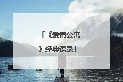 《爱情公寓》经典语录