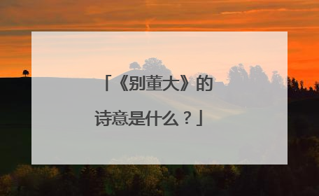 《别董大》的诗意是什么?