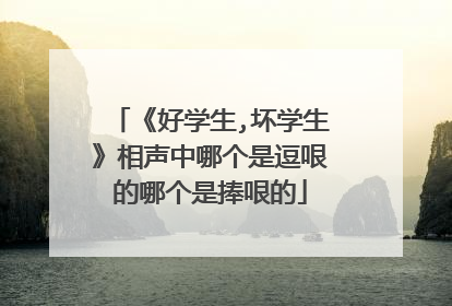 《好学生,坏学生》相声中哪个是逗哏的哪个是捧哏的