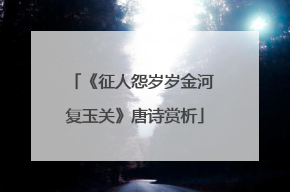 《征人怨岁岁金河复玉关》唐诗赏析