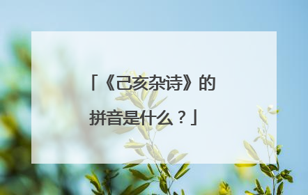 《己亥杂诗》的拼音是什么?