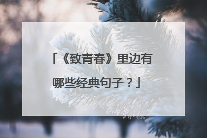 《致青春》里边有哪些经典句子?