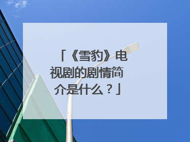 《雪豹》电视剧的剧情简介是什么?
