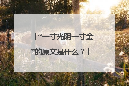 “一寸光阴一寸金”的原文是什么？