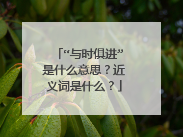 “与时俱进”是什么意思？近义词是什么？