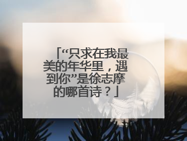 “只求在我最美的年华里,遇到你”是徐志摩的哪首诗?