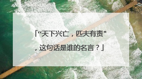 “天下兴亡，匹夫有责