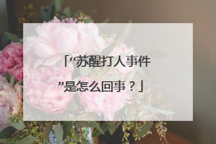 “苏醒打人事件”是怎么回事?