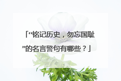 “铭记历史，勿忘国耻”的名言警句有哪些？