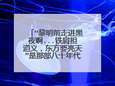 “黎明前走进黑夜啊...铁肩担道义,东方要亮天”是那部八十年代电视剧主题歌?