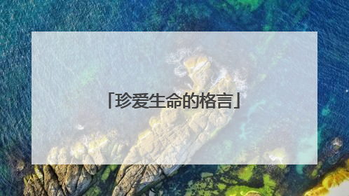 珍爱生命的格言