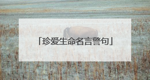 珍爱生命名言警句