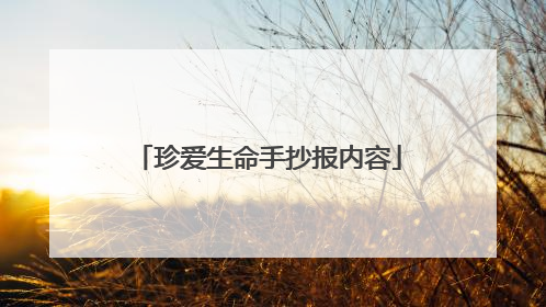 珍爱生命手抄报内容