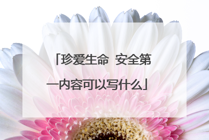 珍爱生命 安全第一内容可以写什么
