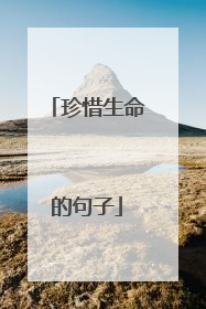 珍惜生命的句子