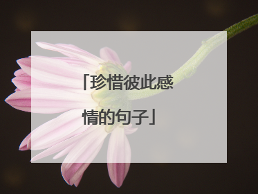 珍惜彼此感情的句子