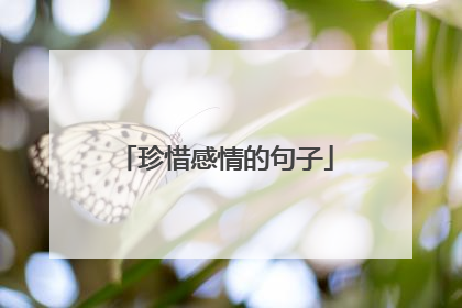 珍惜感情的句子