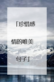 珍惜感情的唯美句子