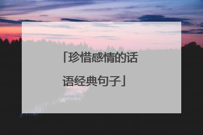 珍惜感情的话语经典句子