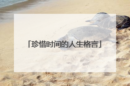 珍惜时间的人生格言
