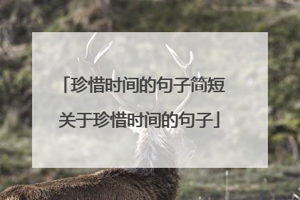 珍惜时间的句子简短 关于珍惜时间的句子