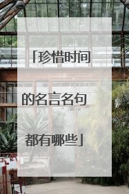珍惜时间的名言名句都有哪些