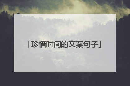 珍惜时间的文案句子