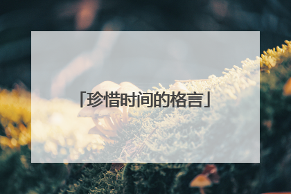 珍惜时间的格言