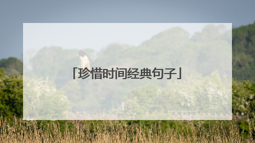 珍惜时间经典句子