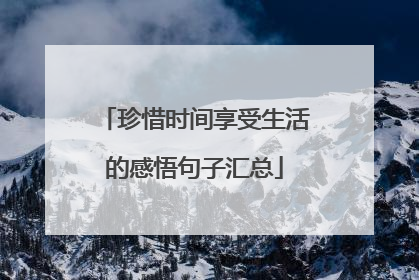 珍惜时间享受生活的感悟句子汇总