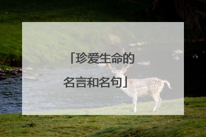 珍爱生命的名言和名句
