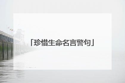 珍惜生命名言警句