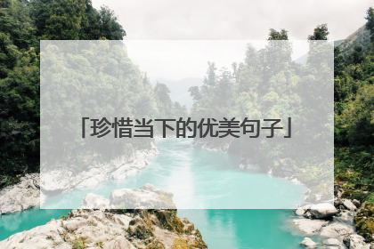 珍惜当下的优美句子
