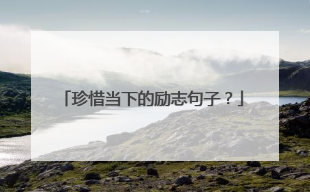 珍惜当下的励志句子?