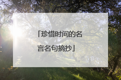 珍惜时间的名言名句摘抄
