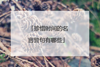 珍惜时间的名言警句有哪些