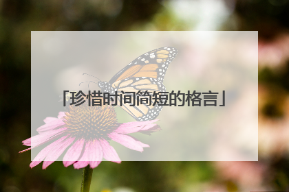 珍惜时间简短的格言