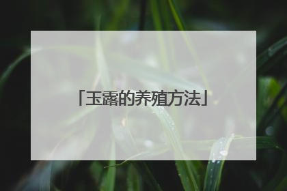 玉露的养殖方法