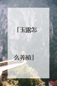 玉露怎么养殖