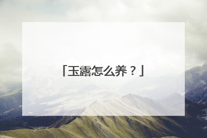 玉露怎么养?