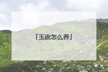 玉露怎么养