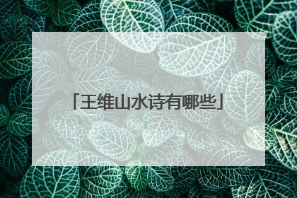 王维山水诗有哪些