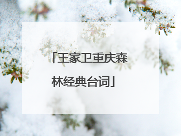 王家卫重庆森林经典台词