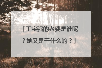 王宝强的老婆是谁呢?她又是干什么的?