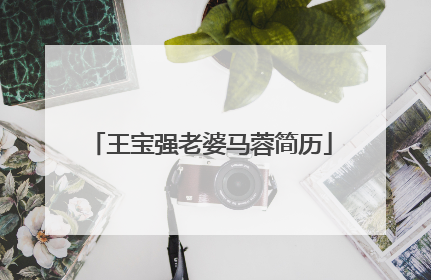 王宝强老婆马蓉简历