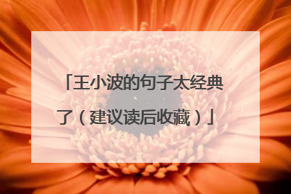 王小波的句子太经典了(建议读后收藏)