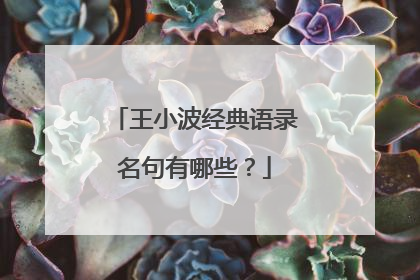 王小波经典语录名句有哪些?