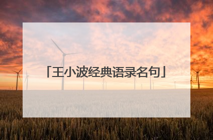 王小波经典语录名句
