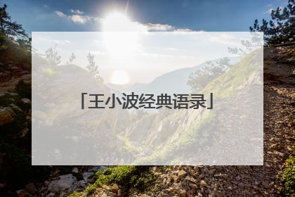 王小波经典语录
